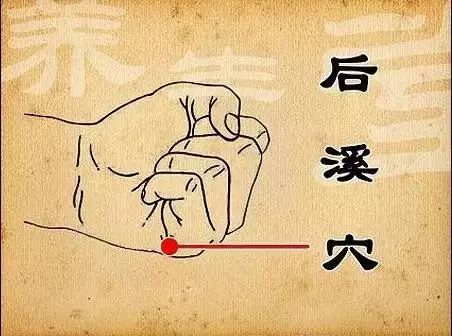艾蒂浮兰乳胶枕